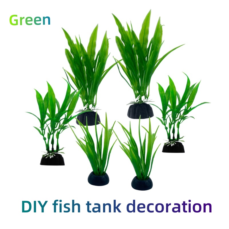Aquarium Plants Live - 6 pezzi confezioni di piante d'acquario,