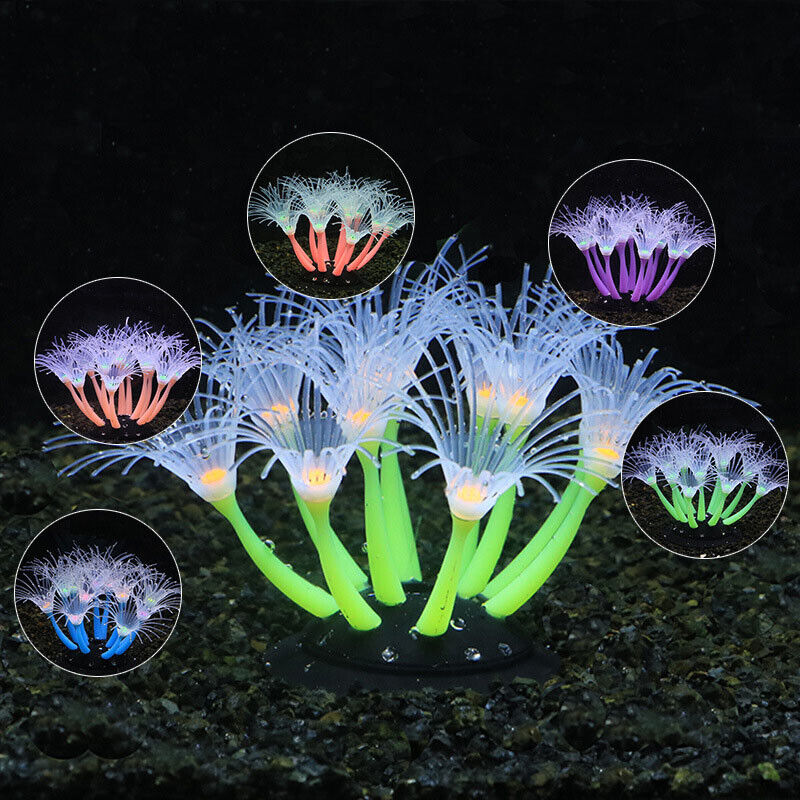 Decorazioni Subacquee in Silic - Aquarium Plants Live recensione e prezzo