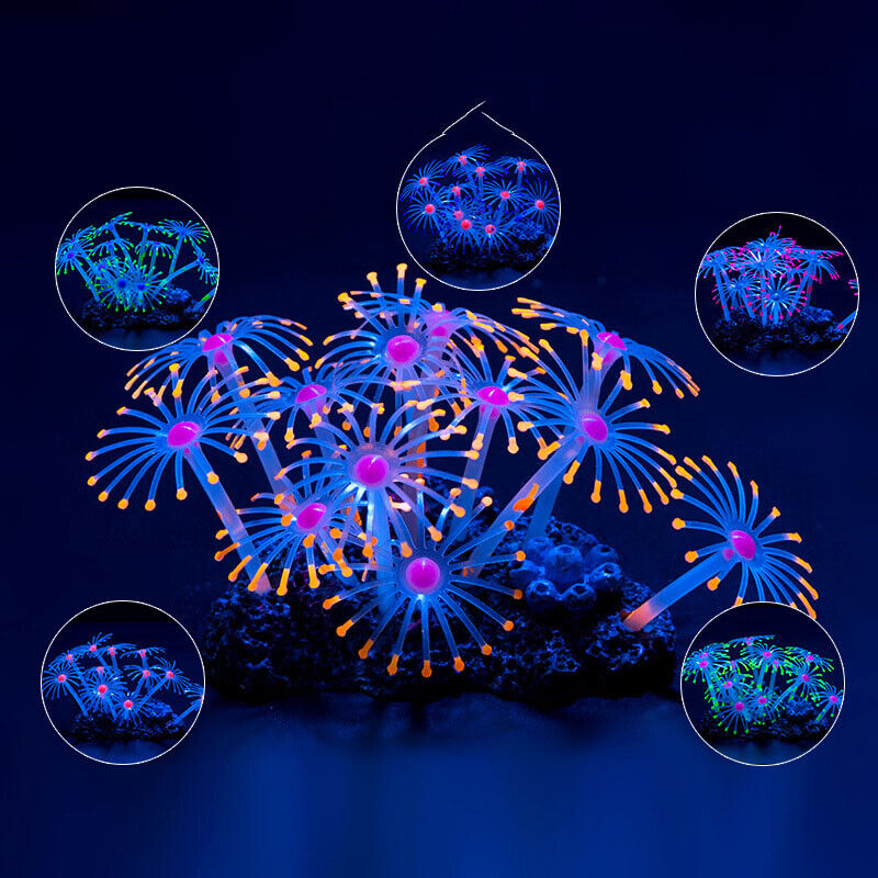 Decorazioni Subacquee in Silic - Aquarium Plants Live recensione e prezzo