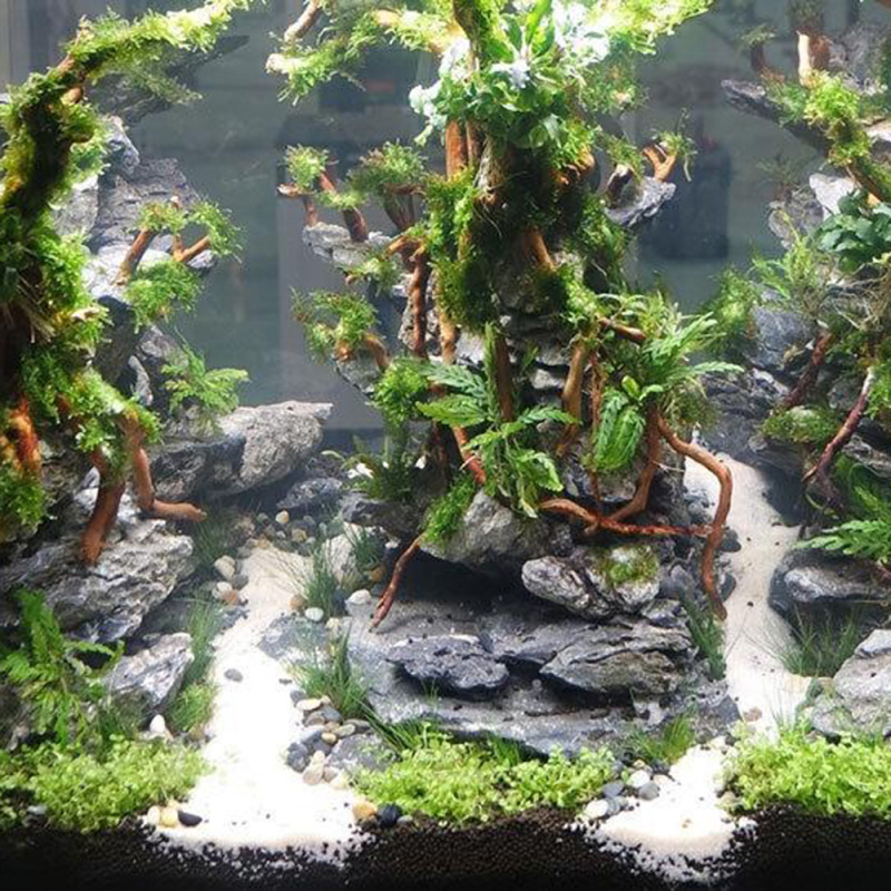 Tronco di Legno Naturale per A - Aquarium Driftwood recensione e prezzo