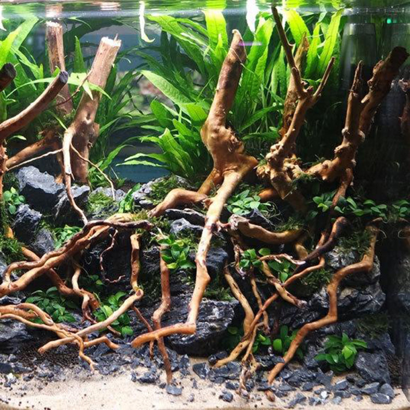 Tronco di Legno Naturale per A - Aquarium Driftwood recensione e prezzo