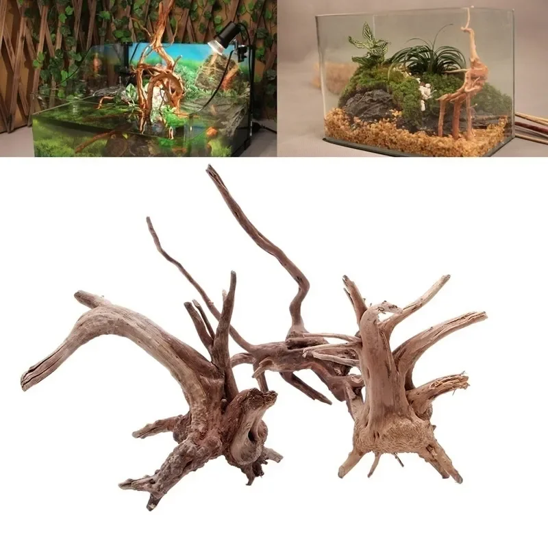 Tronco d'albero naturale Drift - Aquarium Plants Live recensione e prezzo