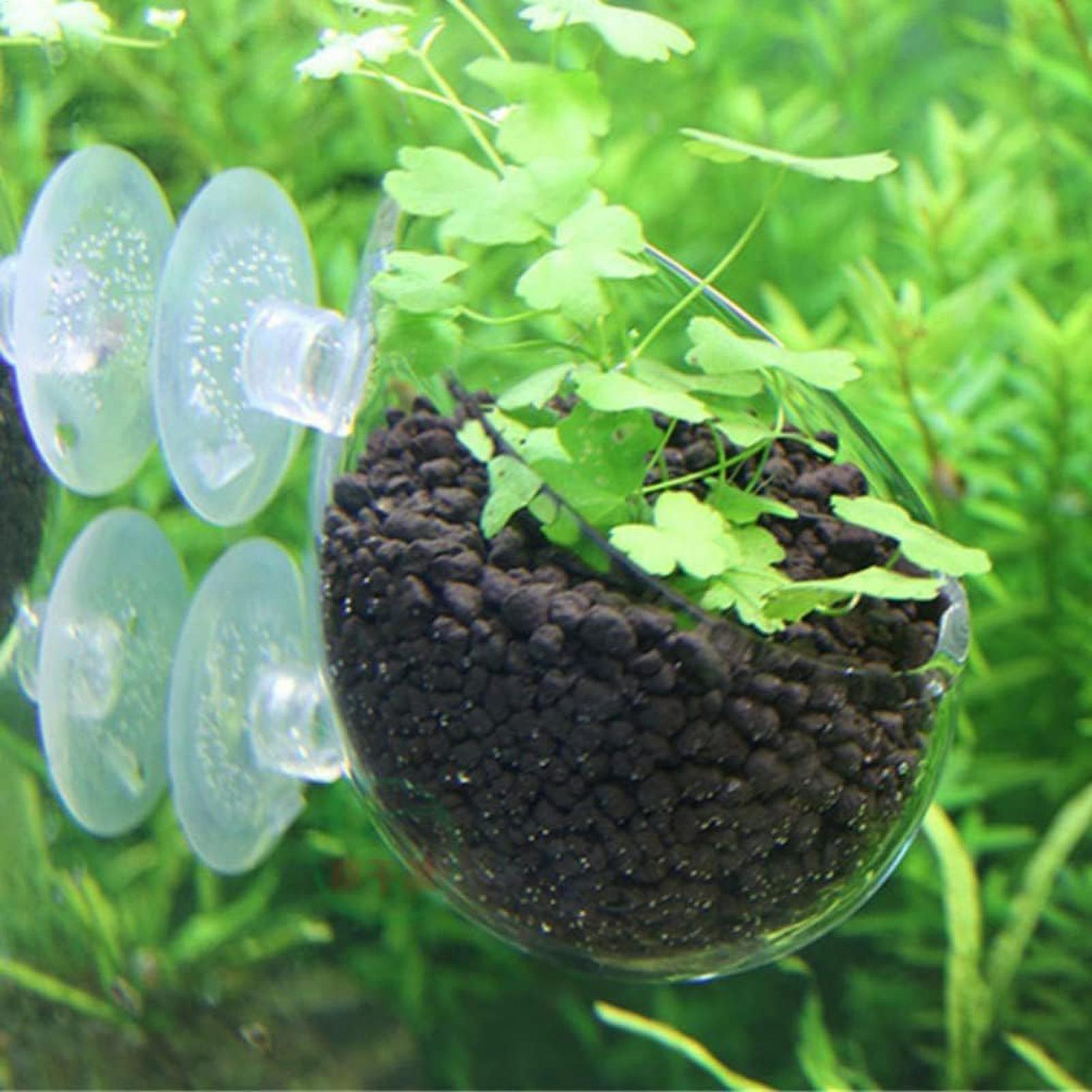 Supporto per Piante Acquatiche - Aquarium Plants Live recensione e prezzo