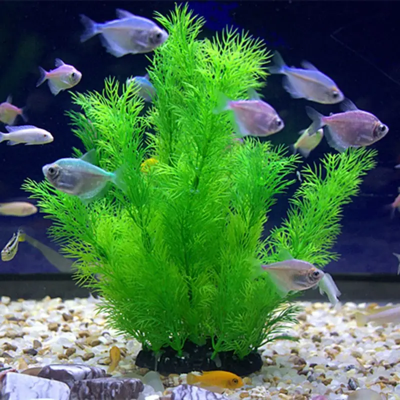 Piante artificiali per decoraz - Aquarium Plants Live recensione e prezzo