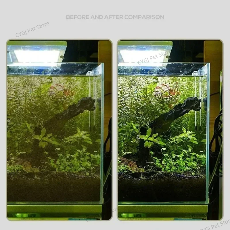 Strumento per la pulizia dell' - Planted Aquarium Cleaning recensione e prezzo