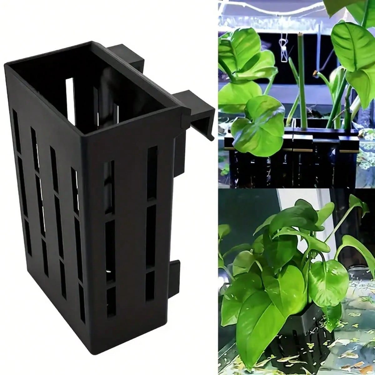 Porta piante per acquario Cest - Aquarium Plant Holder recensione e prezzo