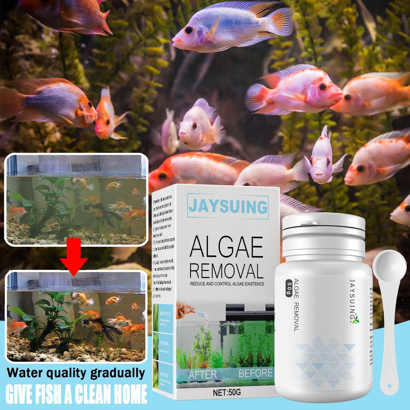 Polvere per la rimozione delle - Aquarium Moss recensione e prezzo