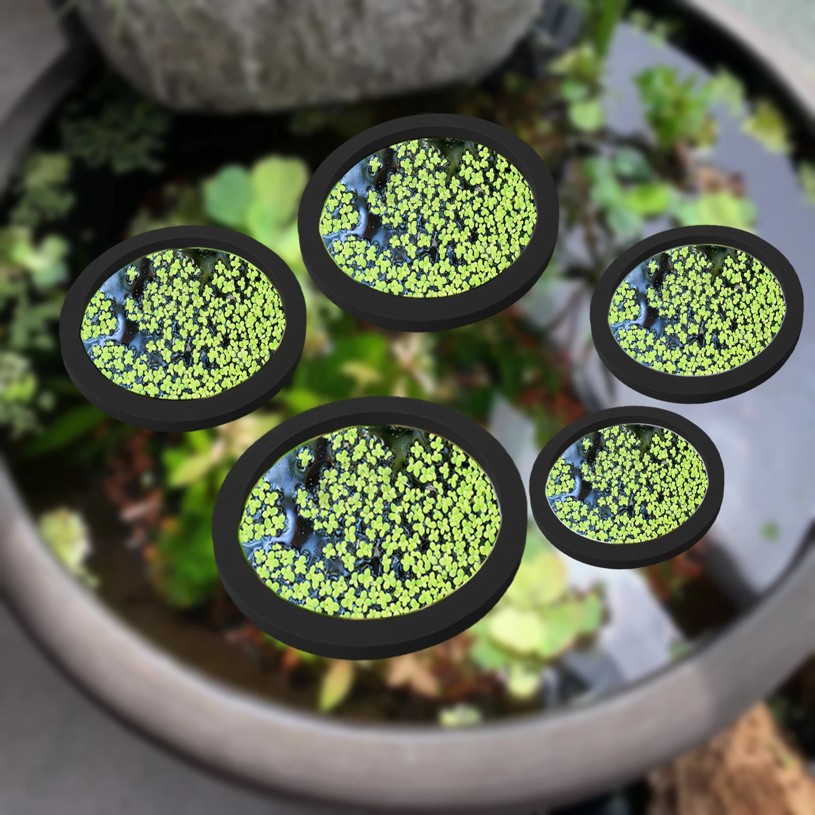 5 pz EVA Anello di Alimentazio - Planted Tank recensione e prezzo