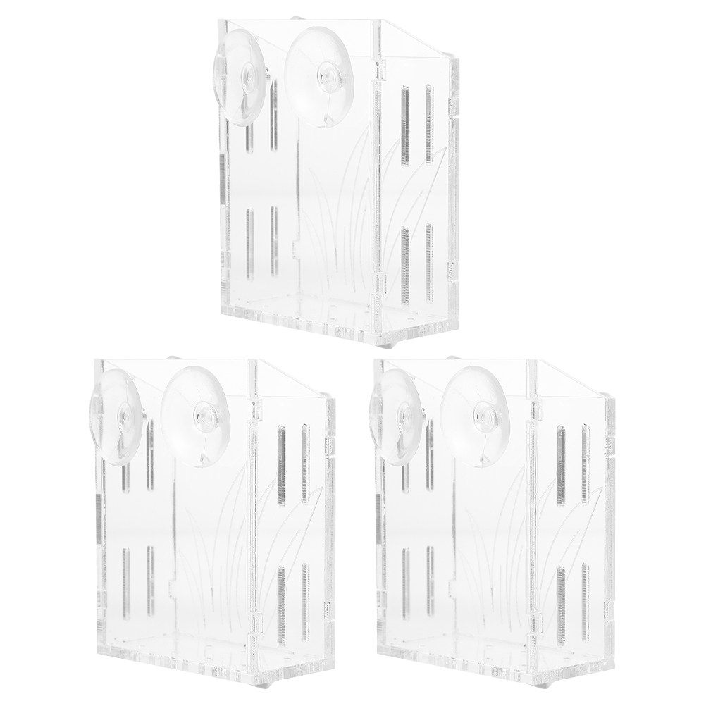 3 pezzi di supporti trasparent - Plant Aquarium Pot recensione e prezzo