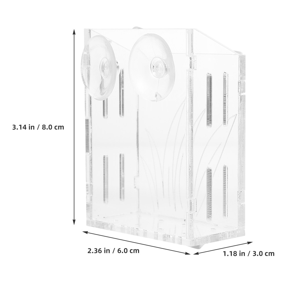 3 pezzi di supporti trasparent - Plant Aquarium Pot recensione e prezzo