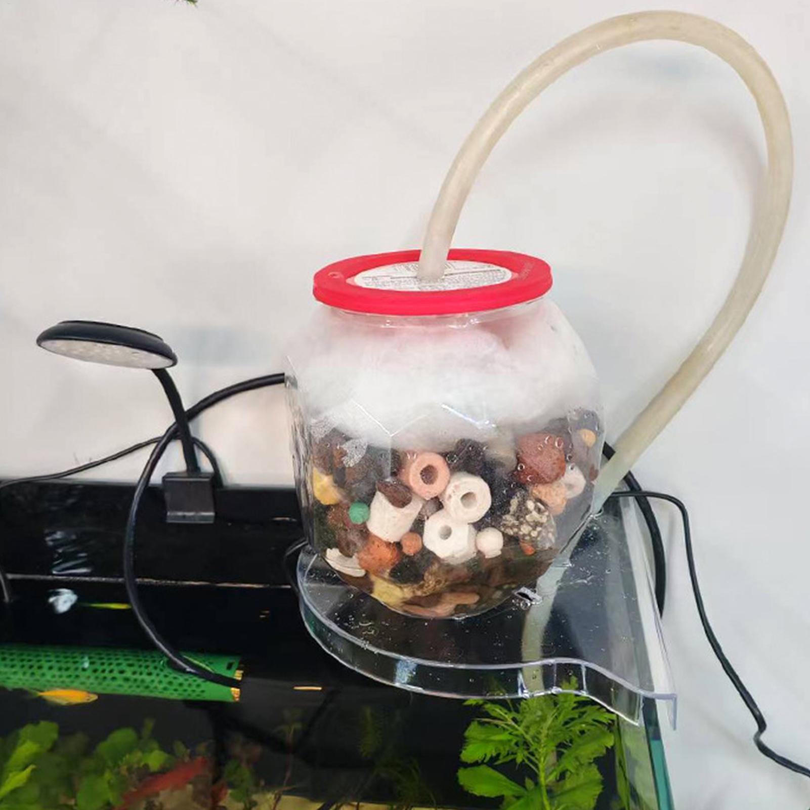 Scaffale Angolare per Acquario - Aquarium Plants Live recensione e prezzo