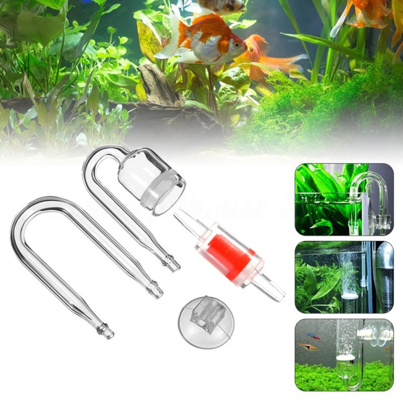 Set da 4 pezzi diffusore di CO - Aquarium Plants Live recensione e prezzo