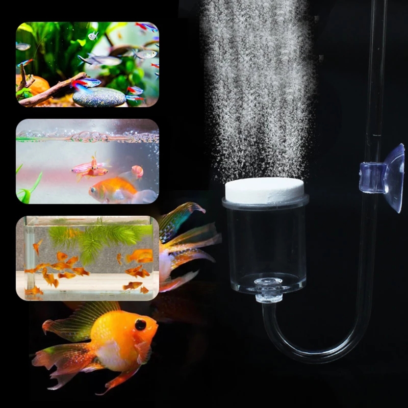 Set da 4 pezzi diffusore di CO - Aquarium Plants Live recensione e prezzo