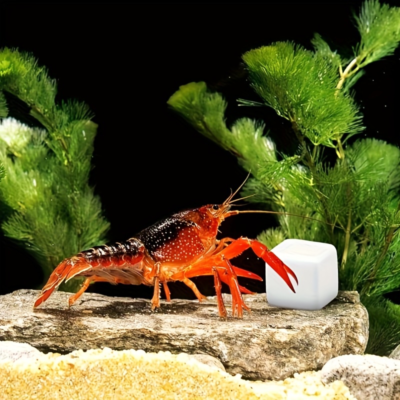 6 Pezzi di Blocchi di Calcio p - Aquarium Fertilizer recensione e prezzo