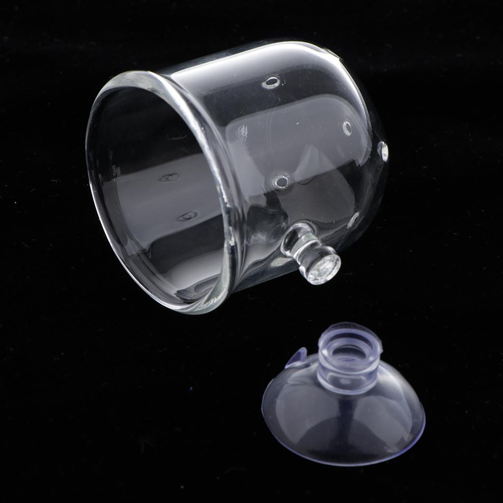 Cestello per Alimentazione Pes - Plant Aquarium Pot recensione e prezzo